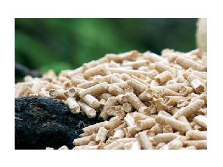 Wood pellets USA