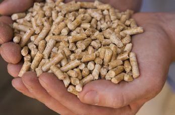 Wood pellets