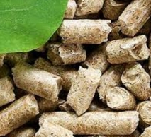 After a brief rally in February 2015, the prices for wood pellets in Germany have dropped in April 2015