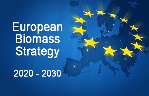 European Biomass Strategy 2020 - 2030