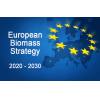 European Biomass Strategy 2020 - 2030