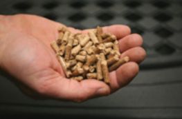 Premium wood pellet fuel